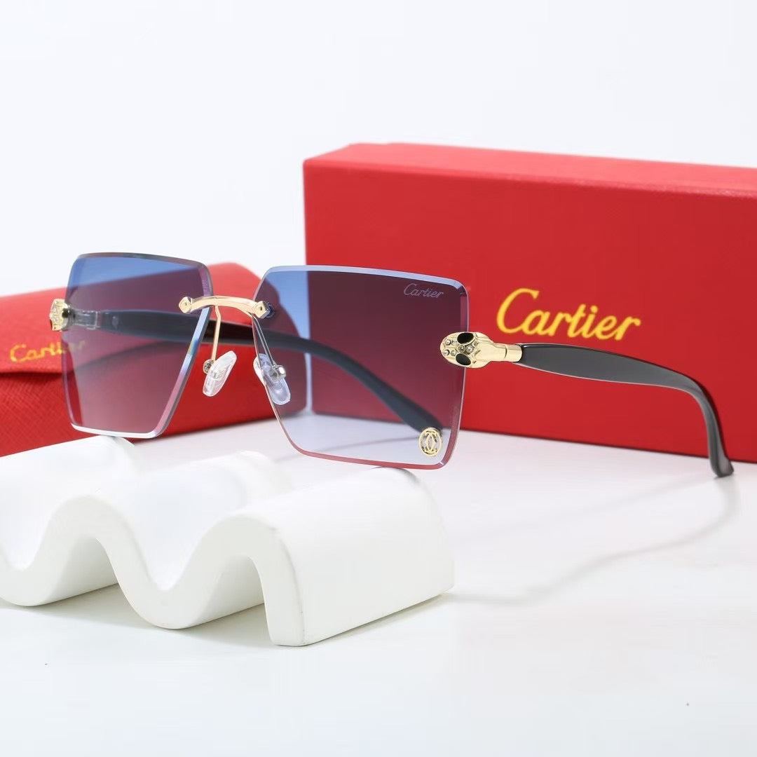5 Colors Fashion Sunglasses—1025