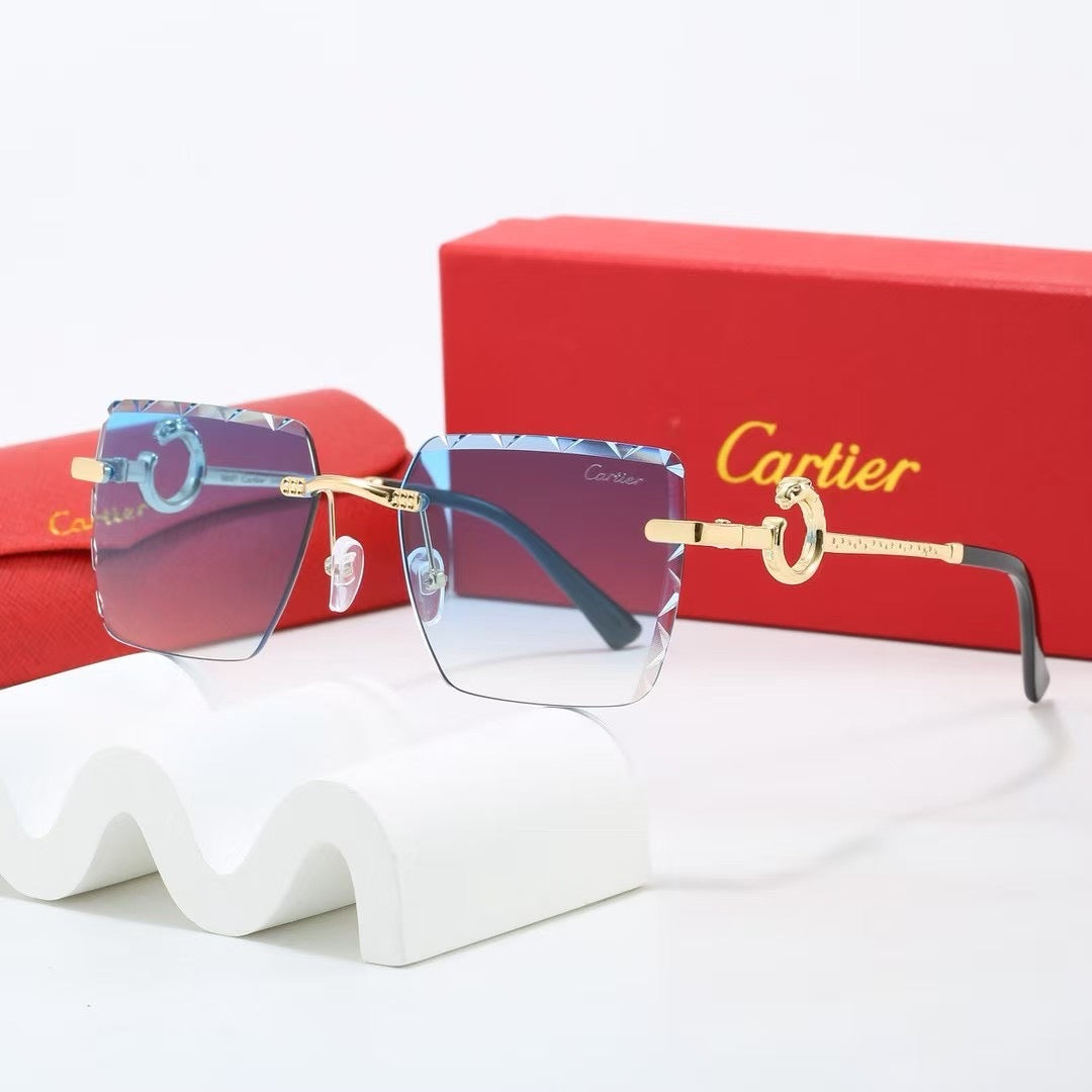 5 Colors Fashion Sunglasses—25061